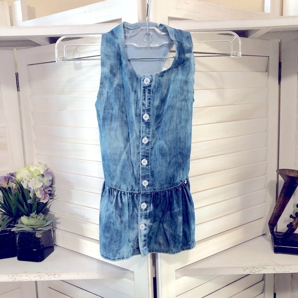 Hotel Doggy Chambray Blue Cotton Dress Medium